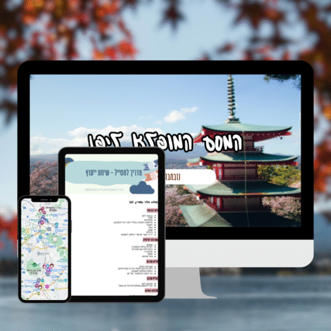 חבילת שינקנסן - מפות גוגל + וובינר + שיחת ייעוץ